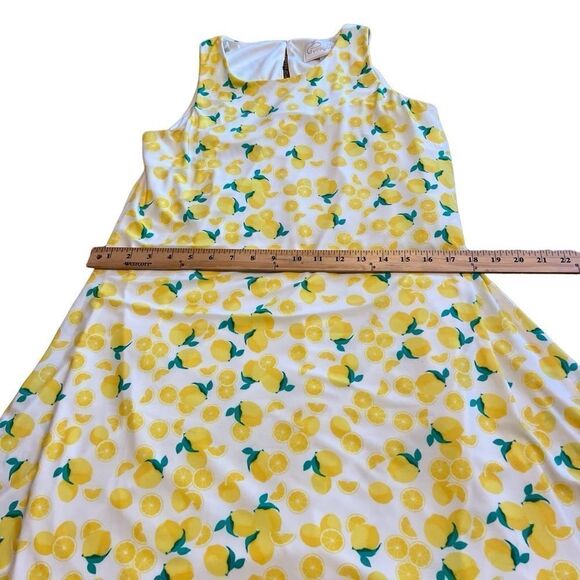 Pappagallo Lemon Print Sleeveless Dress. Size Small. New with Tags!! - Picture 12 of 14